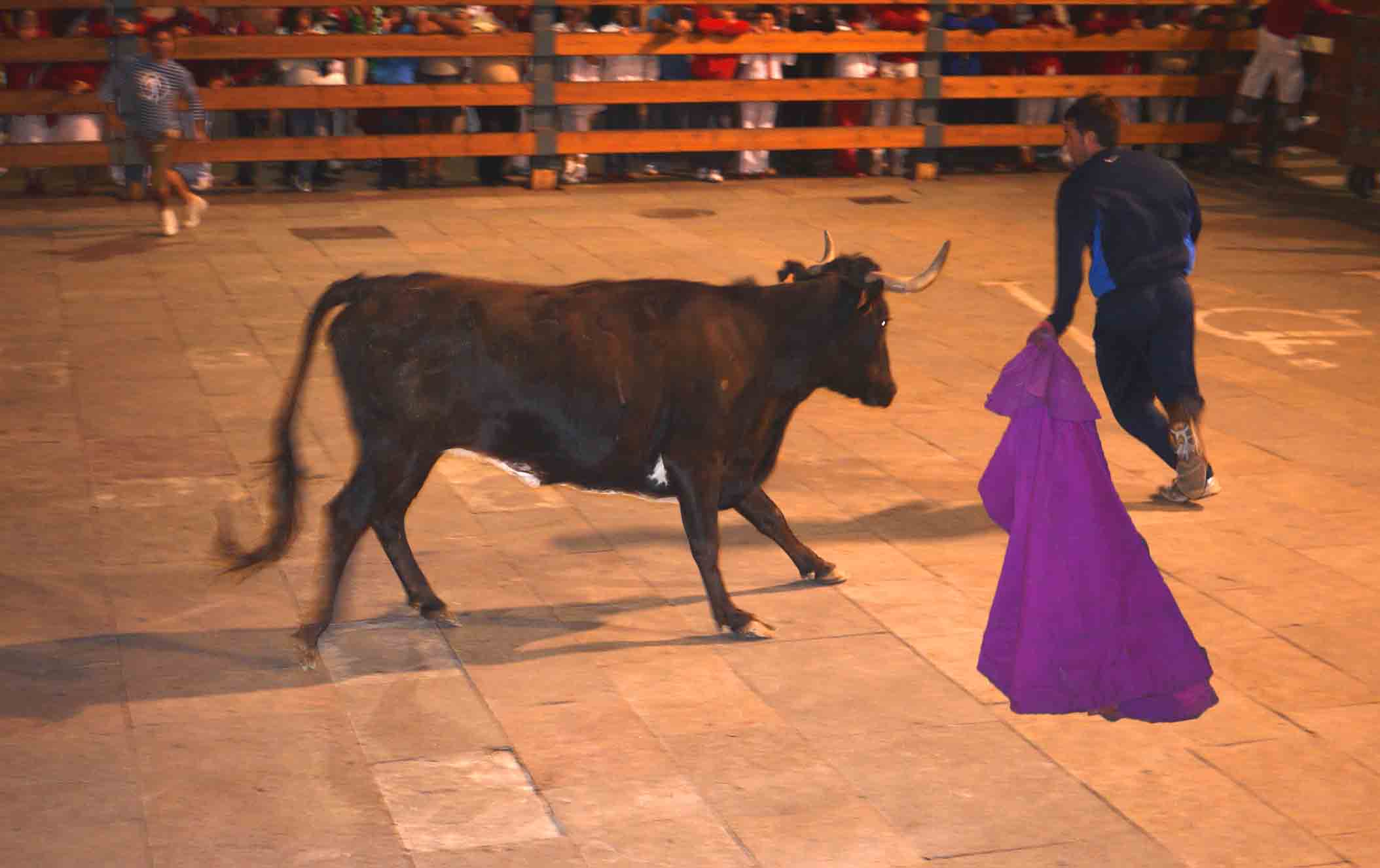  Cascante encierro